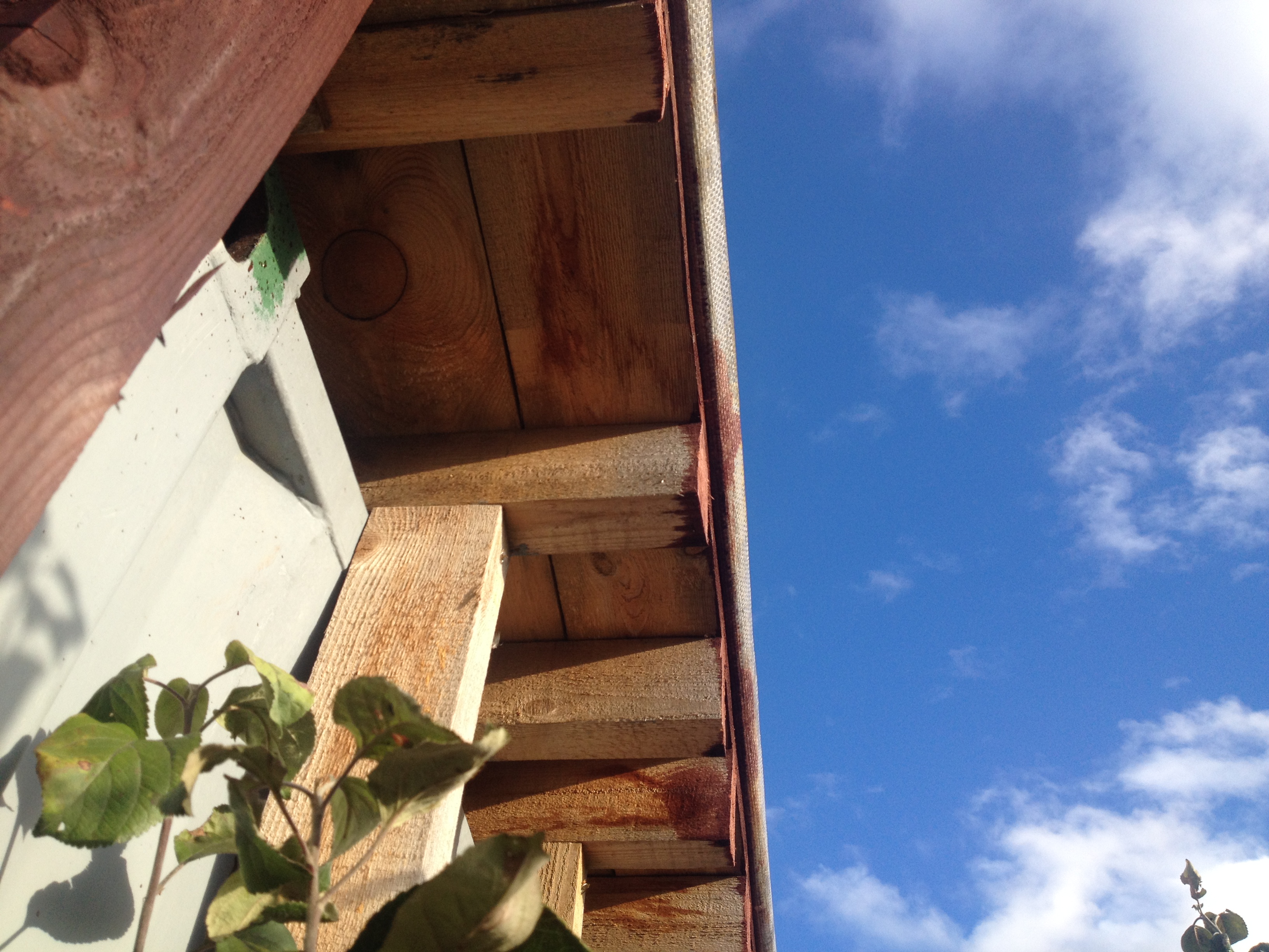 House from the container in the garden